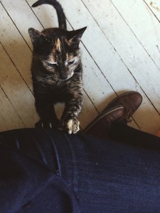 16073170427_4667527091